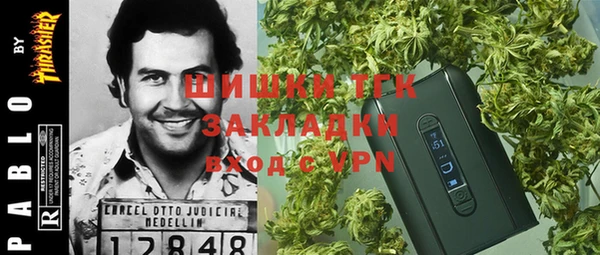 индика Магадан