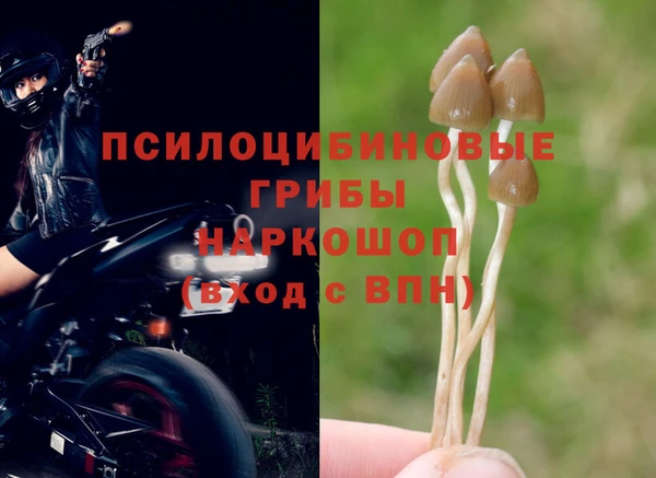 молекула духа Магас